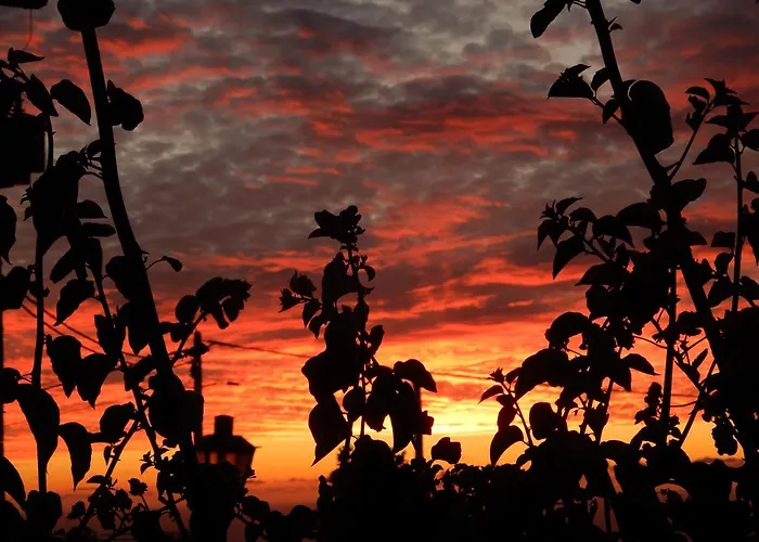 Jasmine Guest * Ponta do Pargo