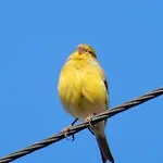 Jasmine Guest Habitación en casa particular *